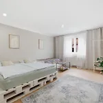 Haban Haus *